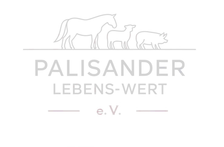 Palisander Logo